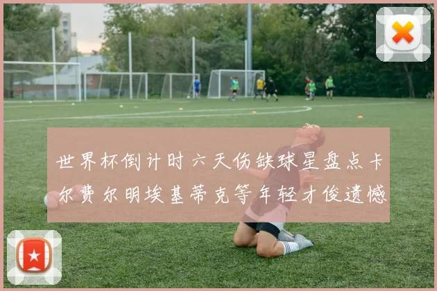 世界杯倒计时六天伤缺球星盘点卡尔费尔明埃基蒂克等年轻才俊遗憾缺席